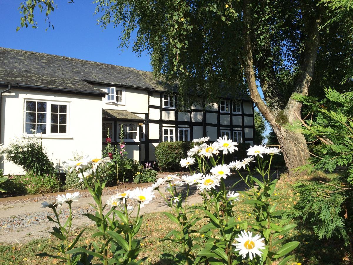 Yew Tree Cottage Лиоминстър Екстериор снимка
